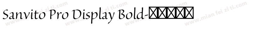 Sanvito Pro Display Bold字体转换